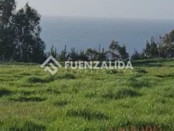 Venta Parcela Licantén, Playa Duao, 6.400 mt2 vista al mar