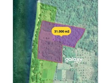 DIJUAL TANAH PULAU MOYO SUMBAWA LABUAN AJI NUSA TENGGARA BARAT