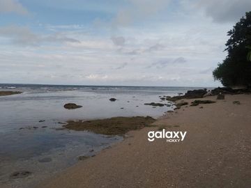 DIJUAL TANAH PULAU MOYO SUMBAWA LABUAN AJI NUSA TENGGARA BARAT