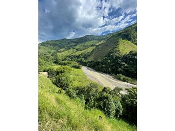 VENTA FINCA PRODUCTIVA 132 HECTREAS ENTRE PCORA Y SALAMINA, CALDAS