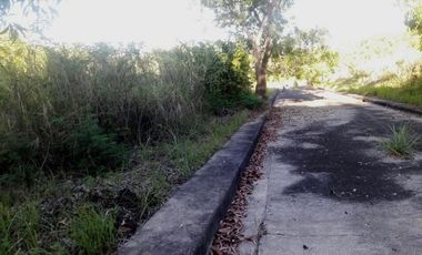 213 SQM Corner Lot for Sale in Lamac, Consolacion Cebu