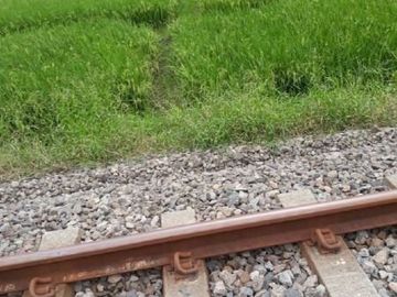 Tanah Sawah di Pakisaji Malang
