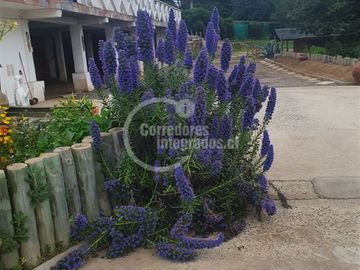 Parcela en venta en Quintero