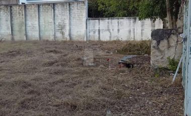 Terreno en Venta en Prolongación Montejo, Mérida, Yucatán
