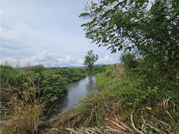 Se Vende Finca en Veraguas de 1110 Hectáreas