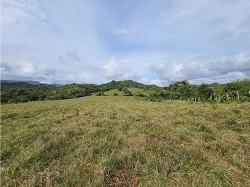 Se Vende Finca en Veraguas de 1110 Hectáreas