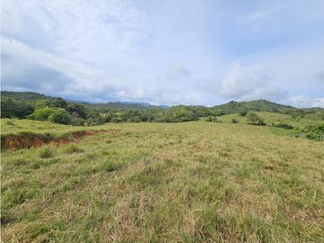 Se Vende Finca en Veraguas de 1110 Hectáreas