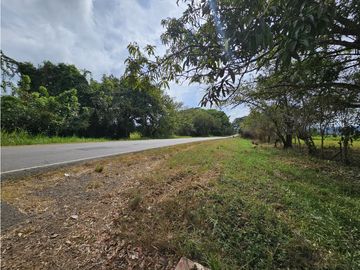 Se Vende Finca en Veraguas de 1110 Hectáreas