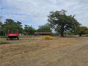 Se Vende Finca en Veraguas de 1110 Hectáreas