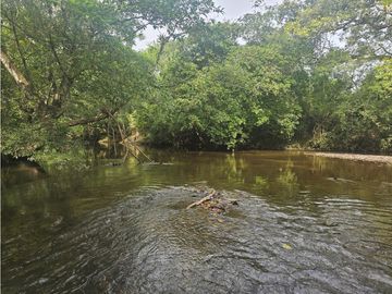 Se Vende Finca en Veraguas de 1110 Hectáreas