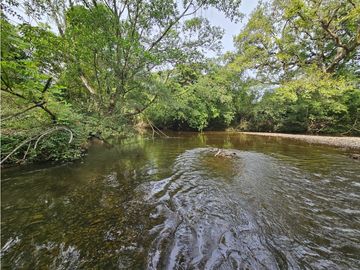 Se Vende Finca en Veraguas de 1110 Hectáreas