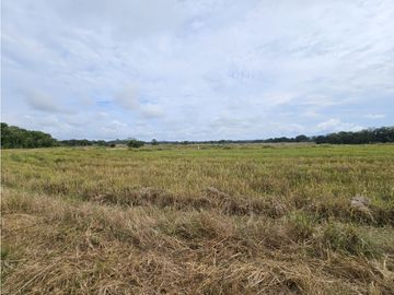 Se Vende Finca en Veraguas de 1110 Hectáreas