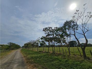 Se Vende Finca en Veraguas de 1110 Hectáreas