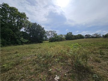 Se Vende Finca en Veraguas de 1110 Hectáreas