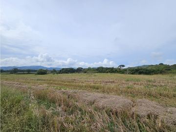 Se Vende Finca en Veraguas de 1110 Hectáreas