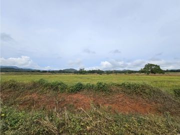 Se Vende Finca en Veraguas de 1110 Hectáreas