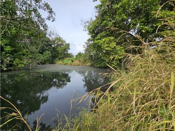 Se Vende Finca en Veraguas de 1110 Hectáreas