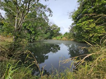 Se Vende Finca en Veraguas de 1110 Hectáreas
