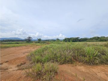 Se Vende Finca en Veraguas de 1110 Hectáreas