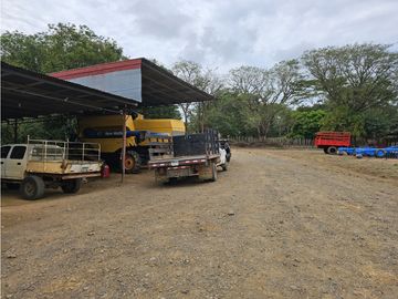 Se Vende Finca en Veraguas de 1110 Hectáreas
