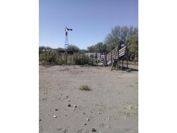 VENDO CAMPO GANADERO EN CARMENSA GENERAL ALVEAR MENDOZA