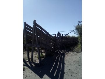 VENDO CAMPO GANADERO EN CARMENSA GENERAL ALVEAR MENDOZA