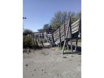 VENDO CAMPO GANADERO EN CARMENSA GENERAL ALVEAR MENDOZA