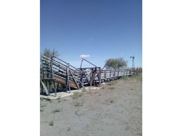 VENDO CAMPO GANADERO EN CARMENSA GENERAL ALVEAR MENDOZA