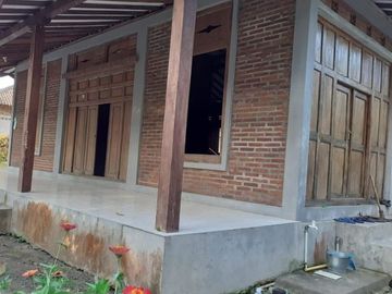Rumah joglo asri siap huni dengan tanah luas di area Jogja utara