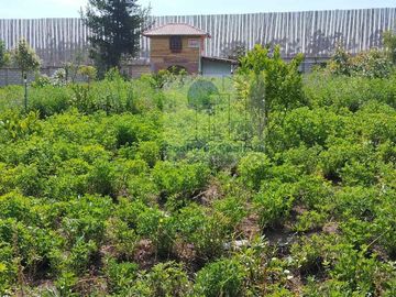 Lindo terreno en venta en urbanización privada en Tabacundo