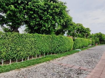 Residencial Sumiya