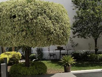 Venta de Casa en Rancho Cortes, Cuernavaca