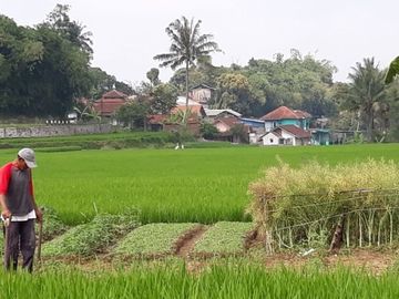 Jual Cepat Tanah Murah 2 Ha Di Cisaat Kota Sukabumi