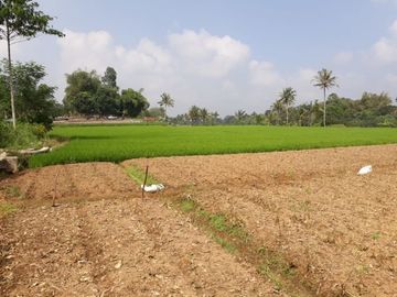 Jual Cepat Tanah Murah 2 Ha Di Cisaat Kota Sukabumi