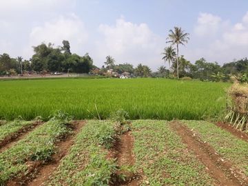 Jual Cepat Tanah Murah 2 Ha Di Cisaat Kota Sukabumi