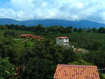 Casa Campestre en venta vía Barcelona Quindio