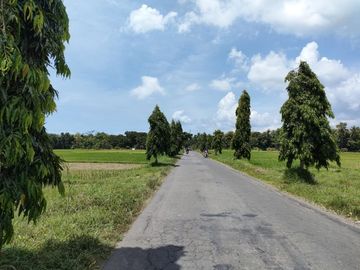 Kavling Tanah SHM, 10 Menit Pasar Jenar Purworejo