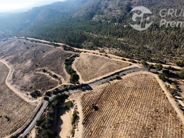 Fundo Agrícola de 72 Hectáreas La Rudilla, Cartagena