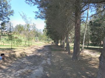 I3 Venta Terrenos Campestres Urbanizados