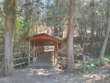 I3 Venta Terrenos Campestres Urbanizados