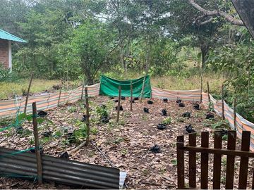se vende finca en pedernales