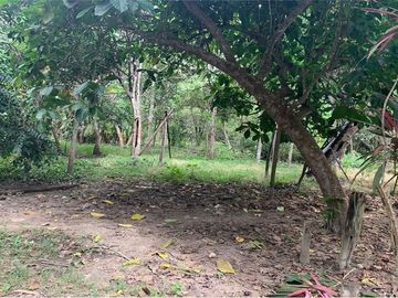 se vende finca en pedernales