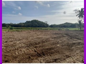 Kavling Tempon, Utara Bandara YIA: Hanya 2 Jt-an