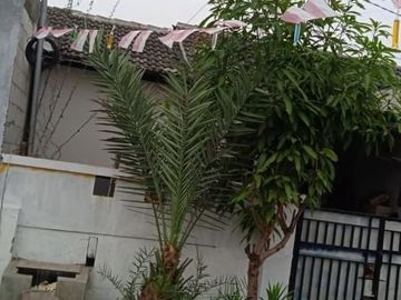 Rumah siap huni, cantik strategis, fasilitas lengkap di Palm Residen Bekasi Utara.