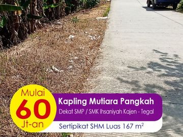 50 Jt-an Kapling Pangkah Zona Pemukiman SHM