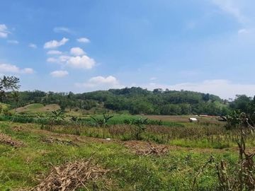 50 Jt-an Kapling Pangkah Zona Pemukiman SHM