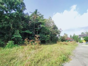 Tanah Hook Belakang Uii, Pas Bangun Kosan