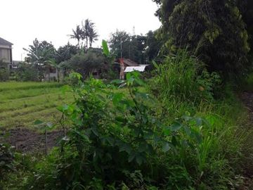 Disewakan Tanah di Jalan Kaliurang: Cocok Untuk Usaha