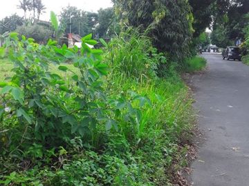 Disewakan Tanah di Jalan Kaliurang: Cocok Untuk Usaha