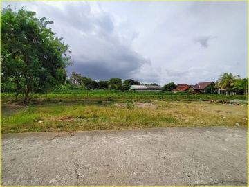 Tanah Kavling Perumahan 2 Jtaan, Tanah Timur LPMP Kalasan